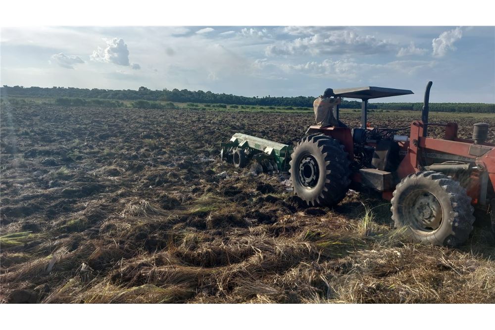 VENDO CAMPO PRODUCTIVO EN SAN JUAN NEPOMUCENO — foto 2