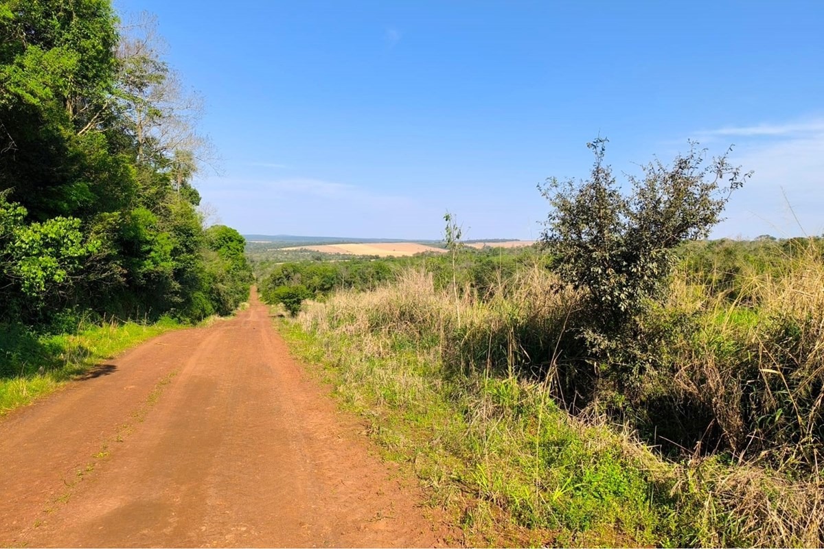 Propiedad de 38 hectáreas con 4,750 m2, Itapúa — foto 3