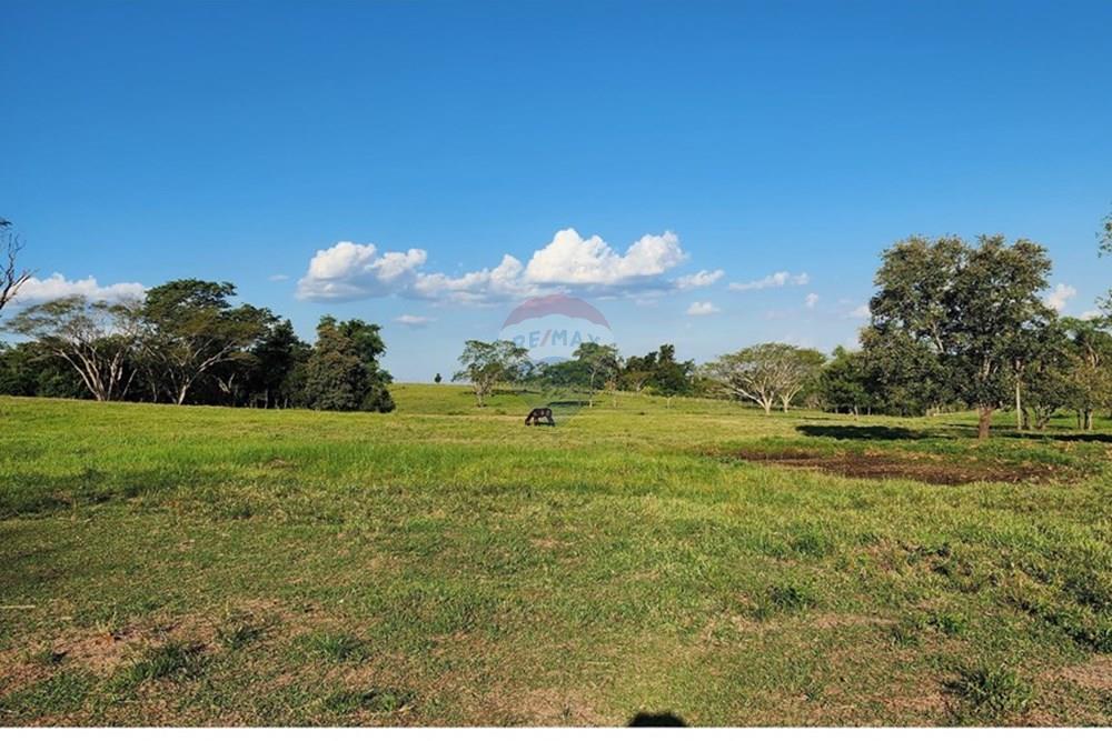 VENDO CAMPO AGROPECUARIO EN COLONIA INDEPENDENCIA — foto 3