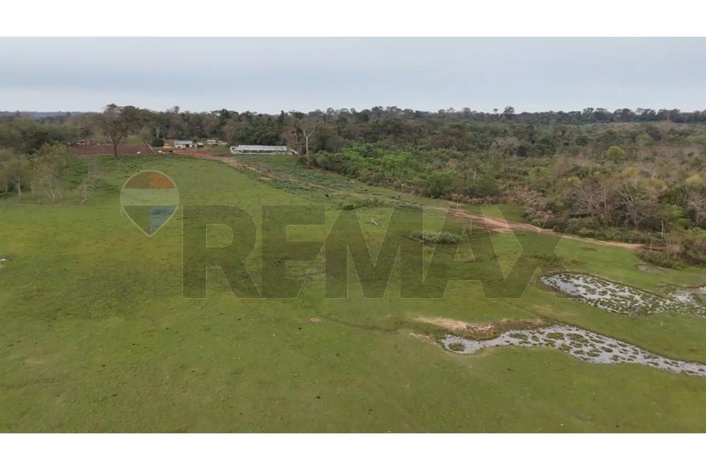 Terreno de 152.5 Hectáreas en Juan De Mena - Cordillera - Ideal Agroganadero — foto 2