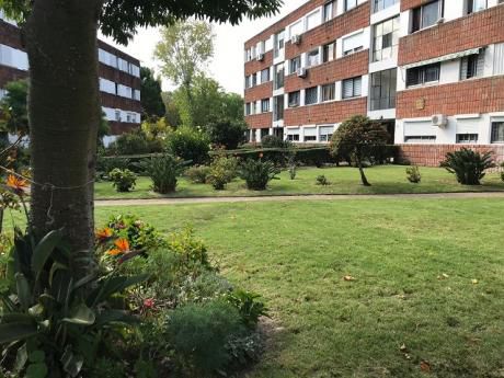 Vendo Apartamento Super Amplio En Zona Muy Arbolada!