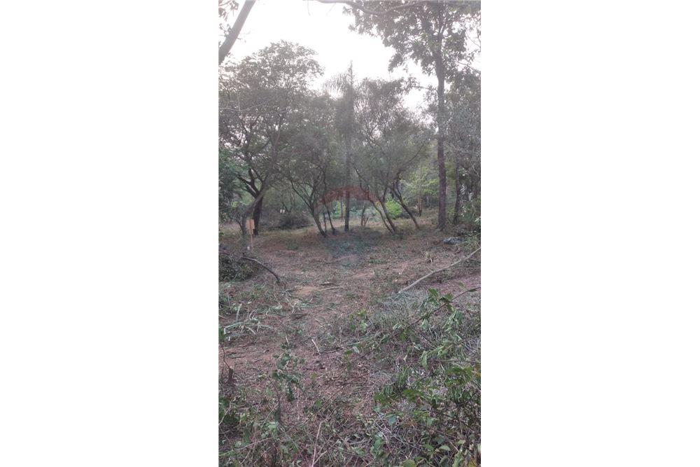 VENDO HERMOSO TERRENO EN ZONA CIERVO CUA — foto 2