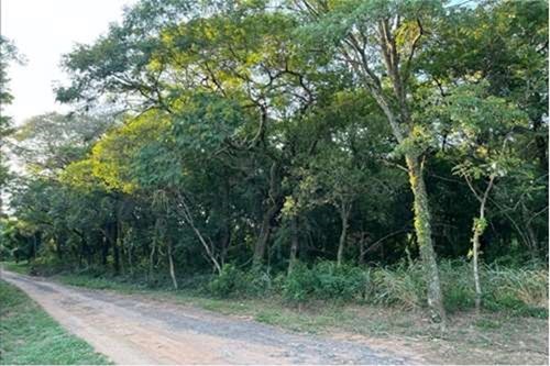 Vendo Terreno en Surubi'y, Mariano R. Alonso, Central — foto 2