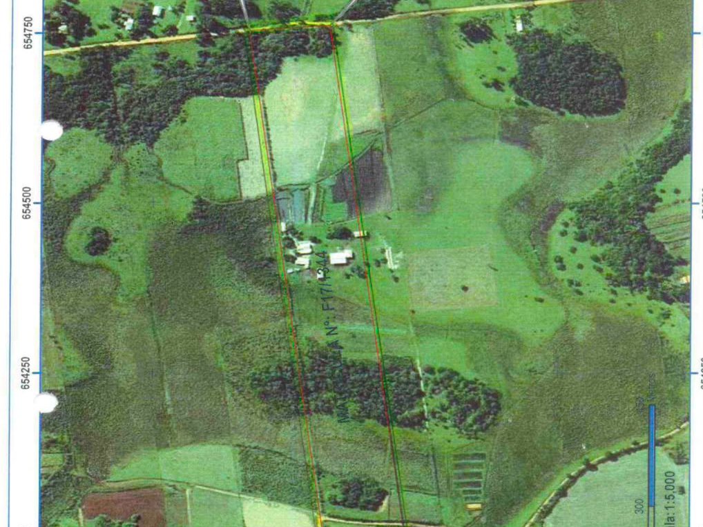 VENDO GRANJA EN PRODUCCION EN CAAGUAZU, J.D. OCAMPOS — foto 2