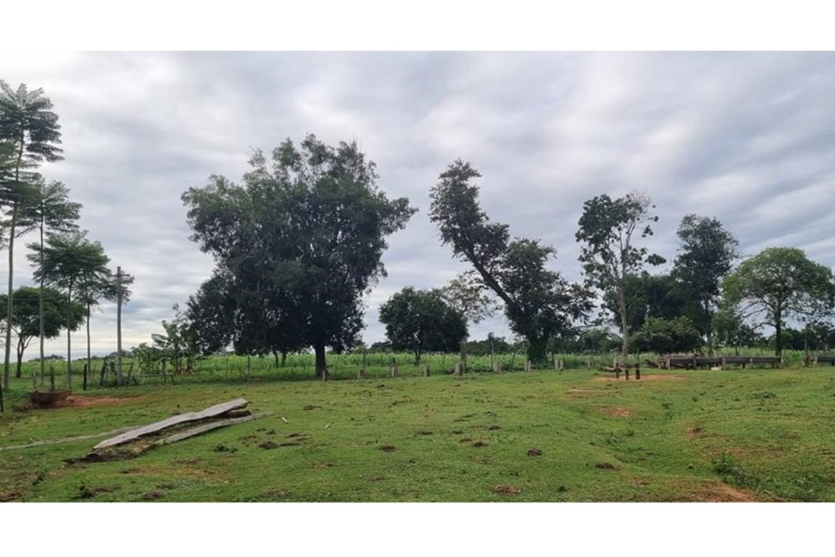 Imperdible Terreno para Invertir en Paraguay, San Pedro — foto 2