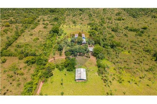 VENTA DE TERRENO DE 8 HECTÁREAS EN ALTOS – CORDILLERA!!! — foto 2