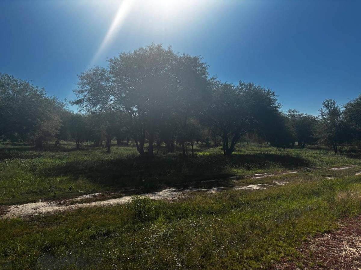 Venta de Terreno en Nueva Asuncion — foto 2
