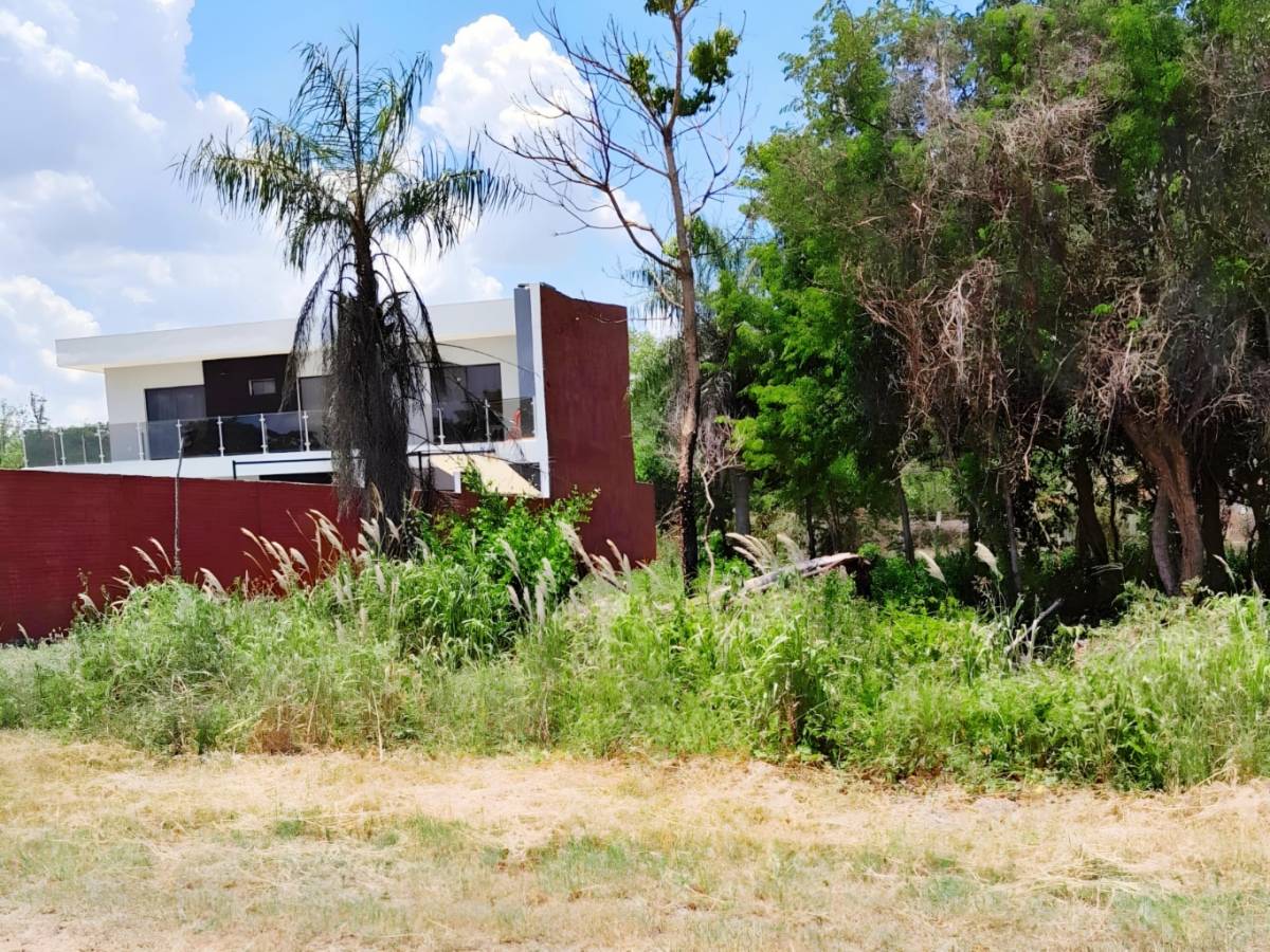 vendo amplio terreno en puerta del lago — foto 2
