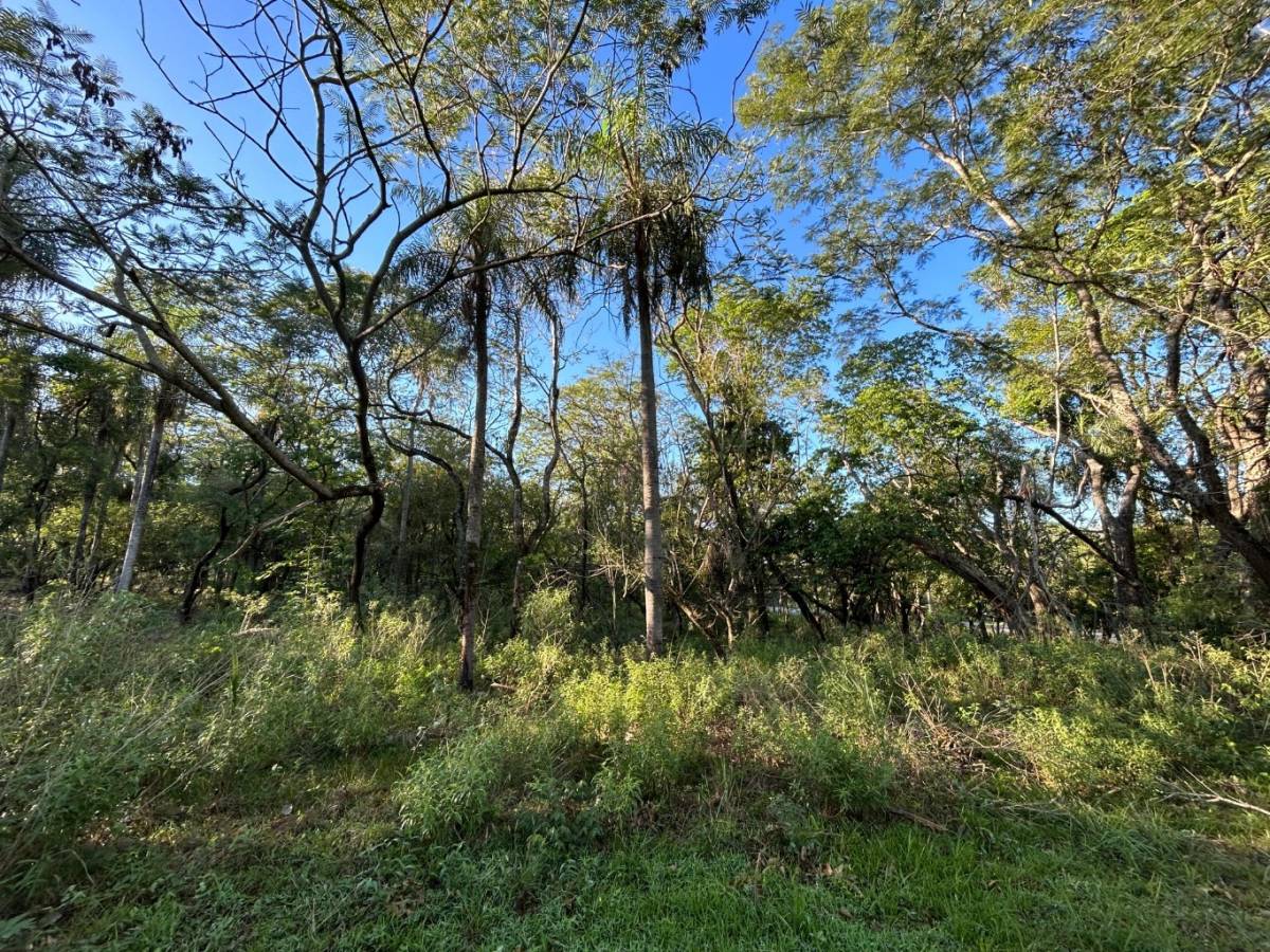 VENDO TERRENO EN SAN BERNARDINO 360 M2 — foto 3