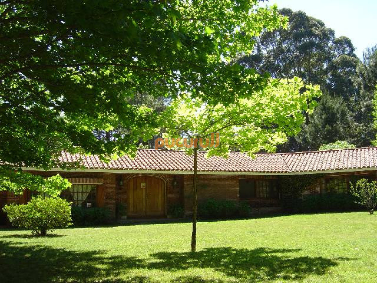 Casa en Punta Ballena, Portezuelo Bosque