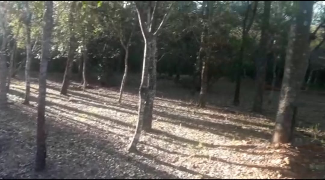 TERRENO EN VENTA EN NUEVA COLOMBIA!! — foto 3