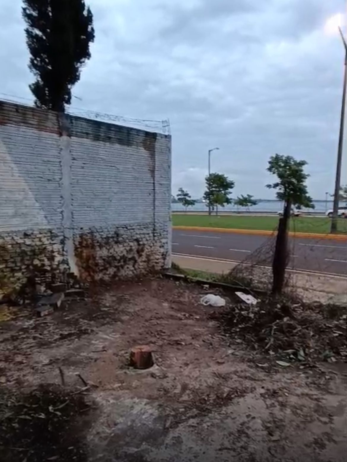 Terreno en alquiler en Encarnación — foto 3