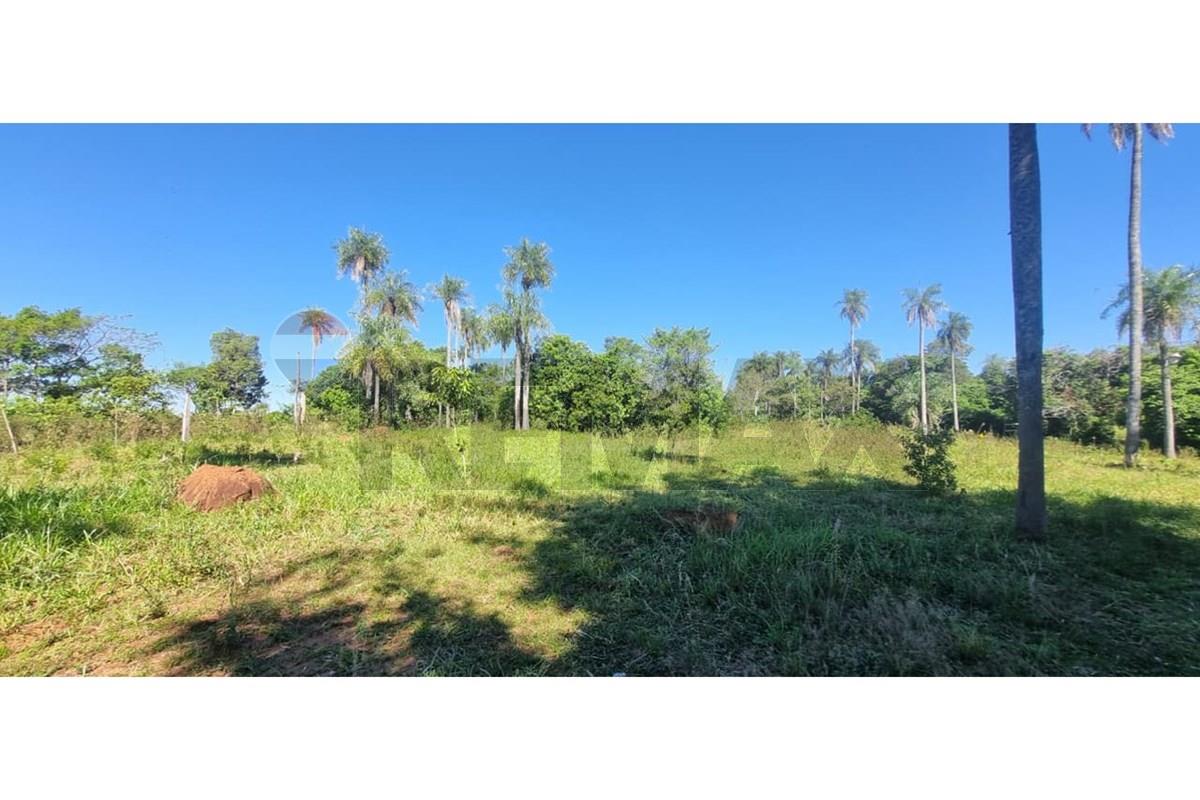 VENDO TERRENO EN PIRIBEBUY — foto 2