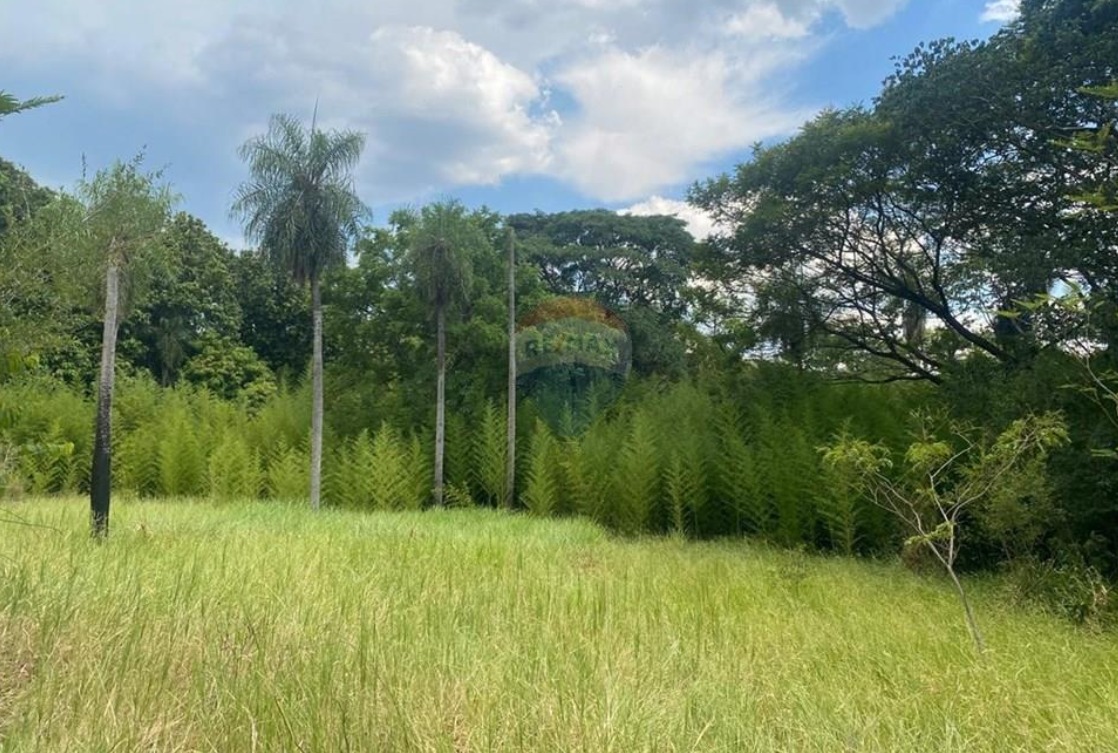 Vendo una hectarea en San Bernardino — foto 3