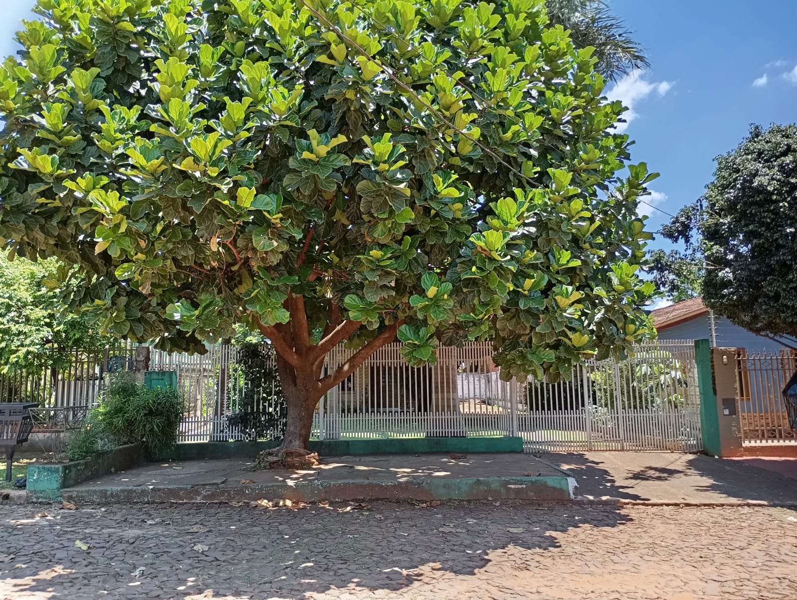 EN VENTA CASA BARRIO SANTA ANA CIUDAD DEL ESTE — foto 3