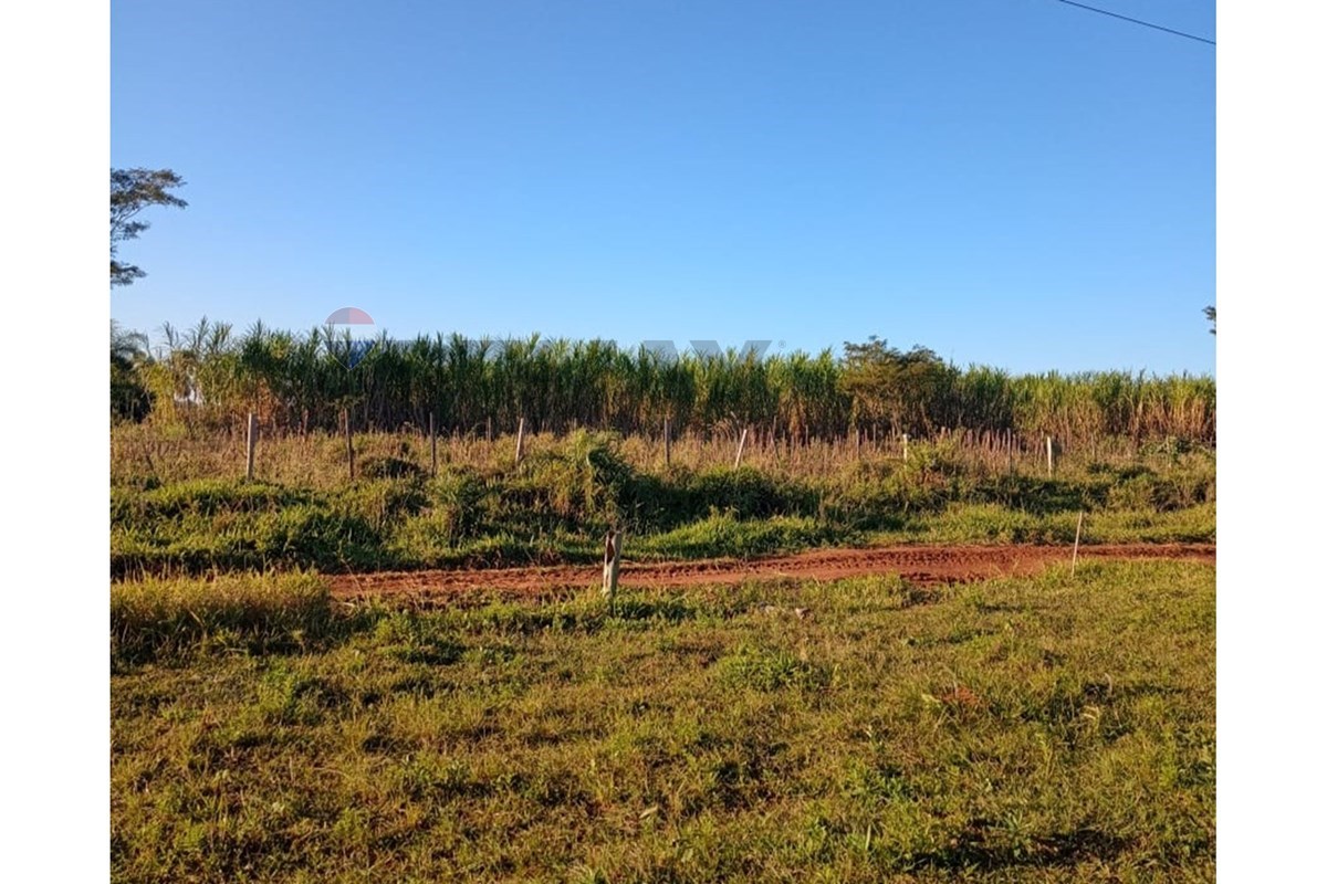 VENDO 4 HECTAREAS EN PIRAYÚ CON GRANJA AVICOLA — foto 3