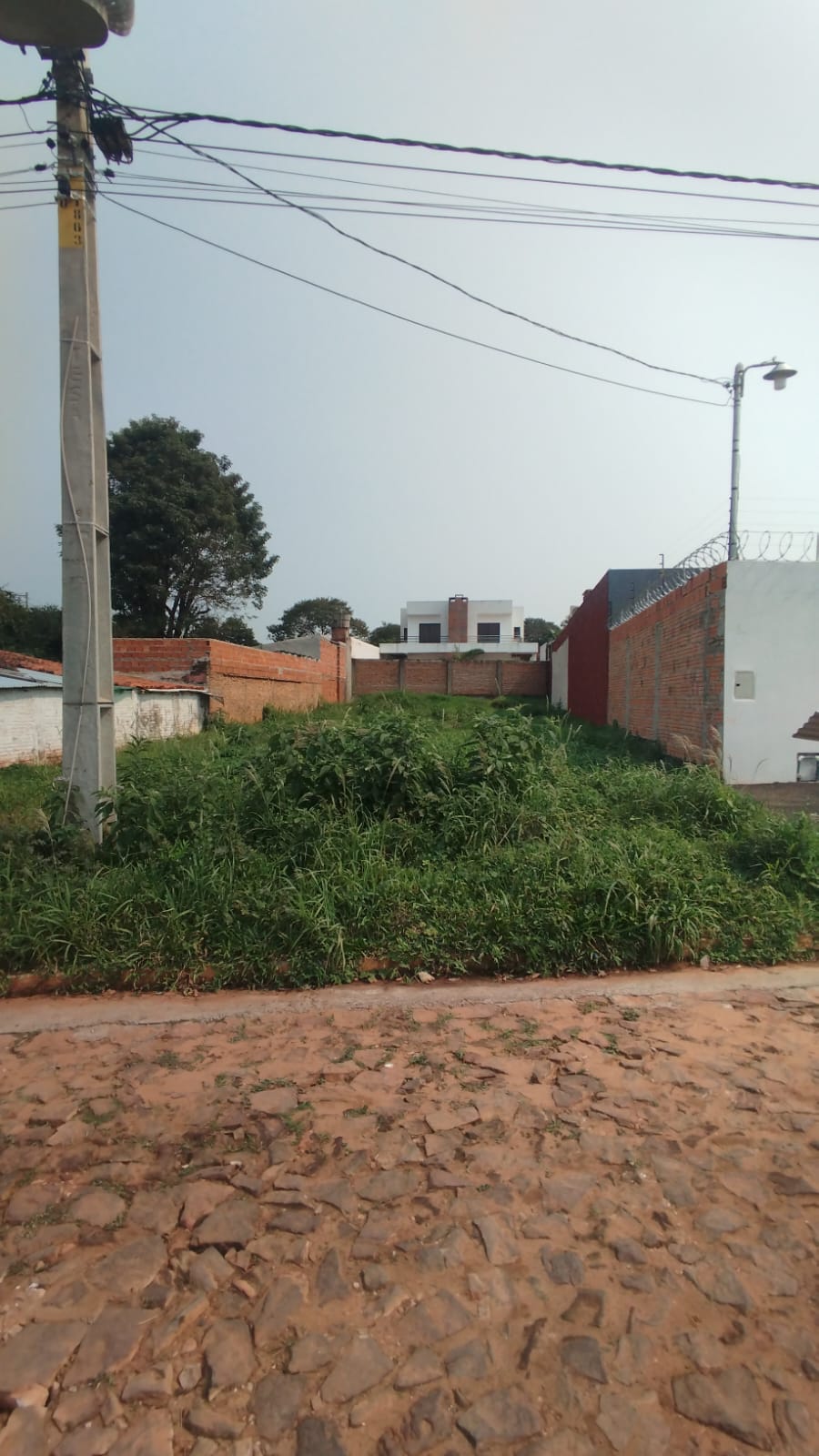 Vendo Amplio Terreno en Loma Merlo Luque — foto 2
