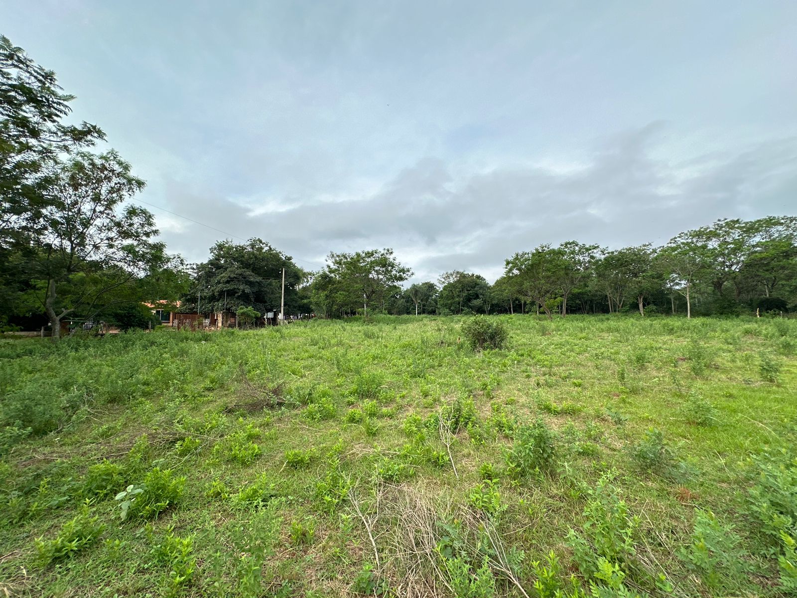En venta terreno de 5.000 m2 en Caacupé, a 350 metros de Ruta 2 — foto 3