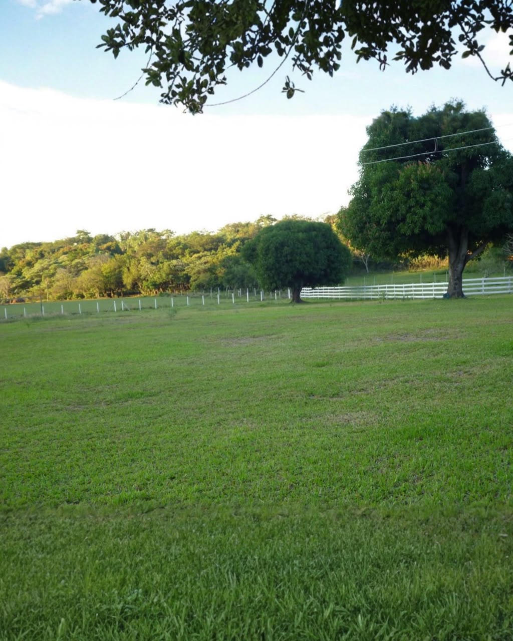 Amplia Quinta en Venta en Caacupé — foto 3