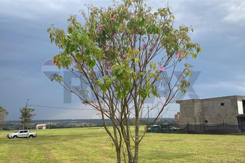 Terreno en Costa del Lago - Hernandarias — foto 2