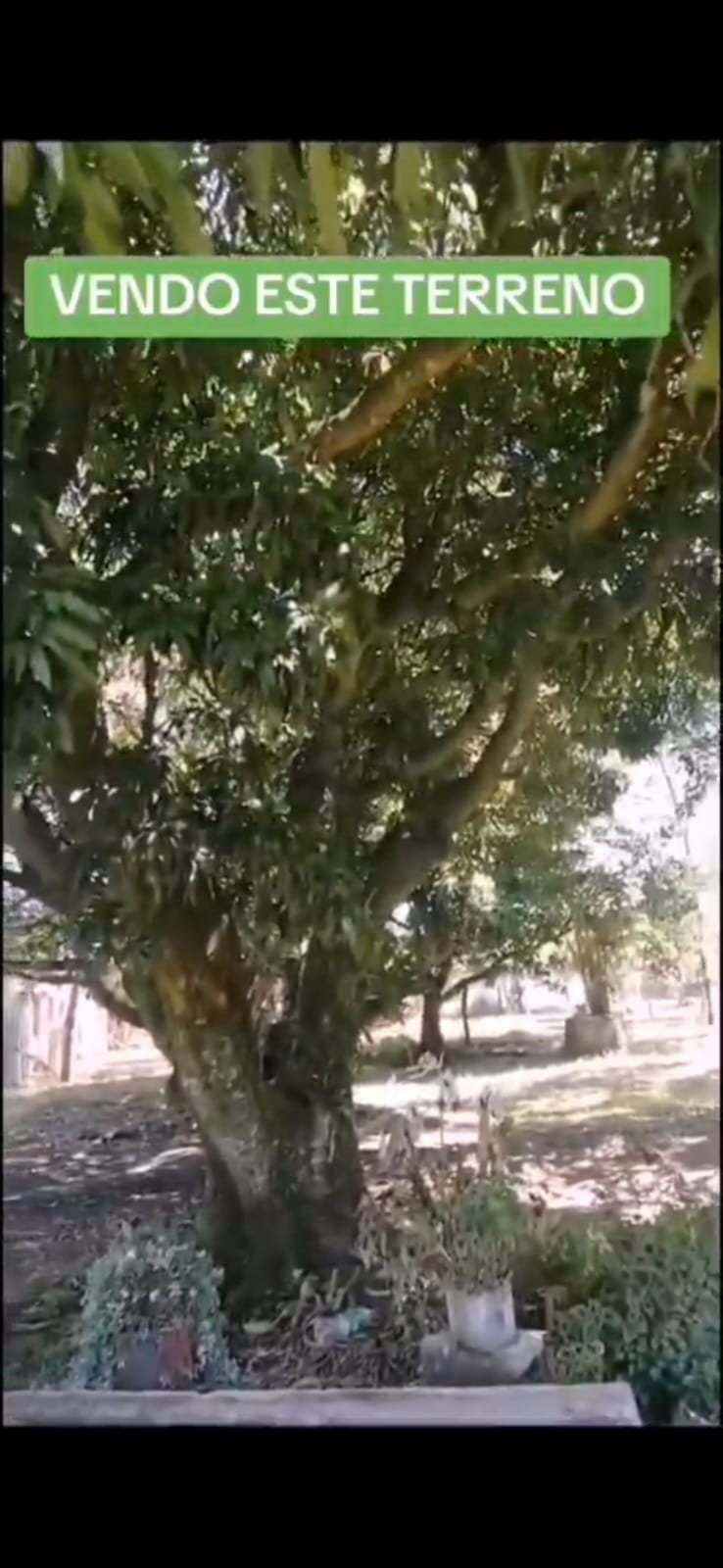 Terreno — foto 3