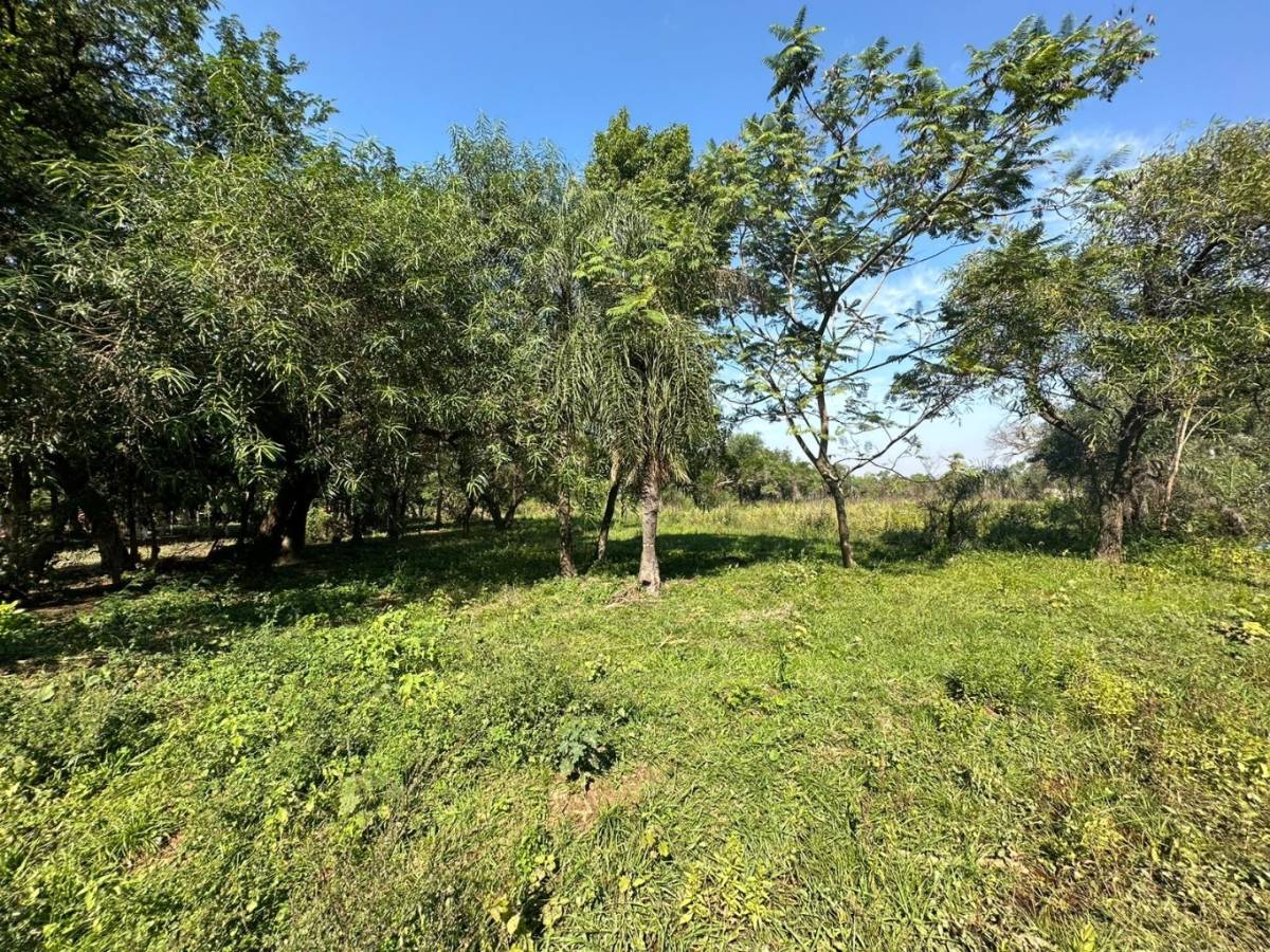 VENDO DOS TERRENOS JUNTOS en San Bernardino — foto 2