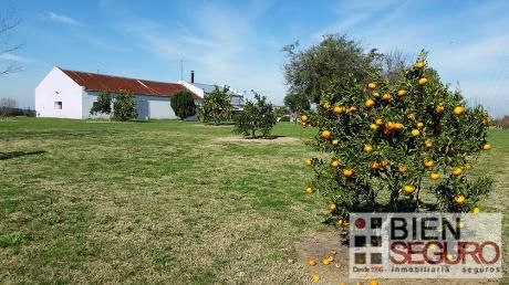 Chacra De 43 Hás En Venta En San José