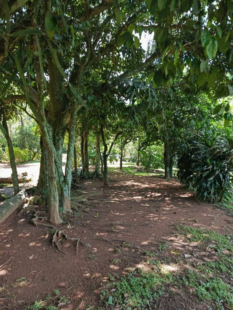 VENDO EN PARAGUARI, MBATOVI,  1 Ha 295 m2, con casa sencilla y tatacua — foto 2