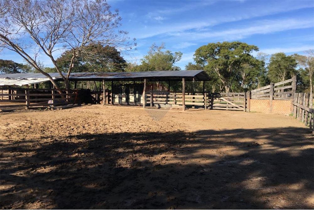 VENDO CAMPO EN VILLA DEL ROSARIO CON ORILLA AL RIO PARAGUAY — foto 3