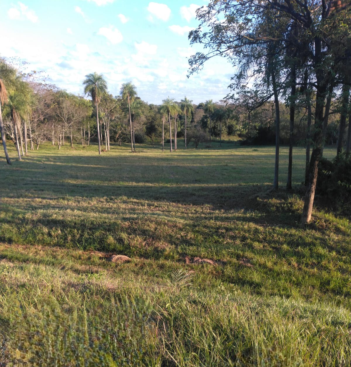 TERRENO EN VENTA – CARAPEGUÁ, PARAGUARÍ — foto 2