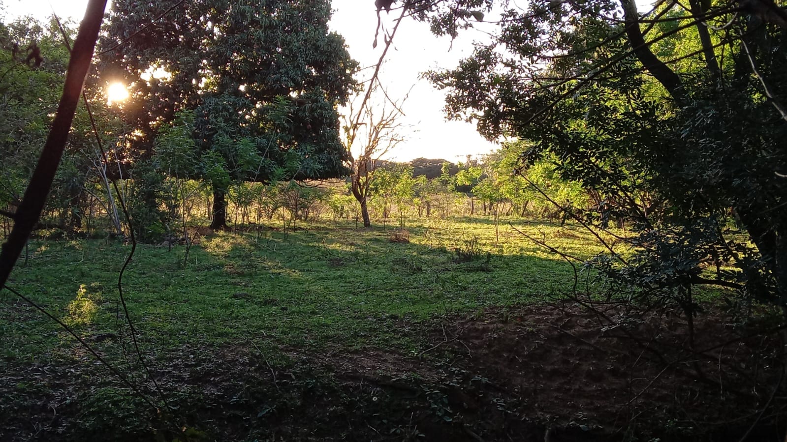 VENDO TERRENO EN MBATOVI — foto 3