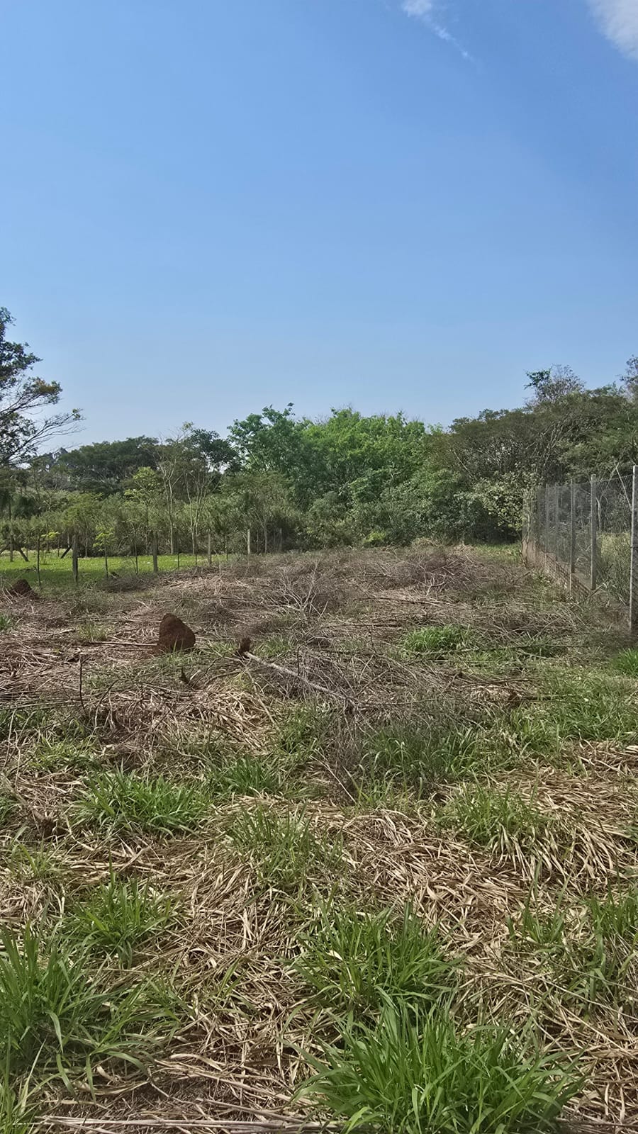Vendo Terreno de 504 m2 en San Juan del Parana - LLA8425605 — foto 3