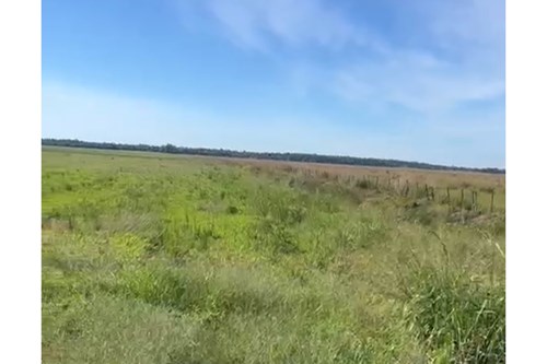 Finca Agrícola-Venta-Pirity, , San Pedro Del Paraná, Itapúa — foto 3