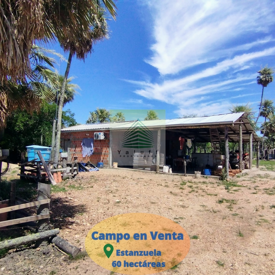 Campo en venta en Villa Oliva — foto 2