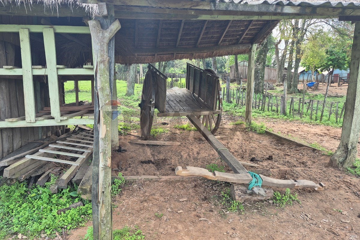 VENDO CAMPO AGRICOLA EN CAAZAPA 60 HECTAREAS — foto 3