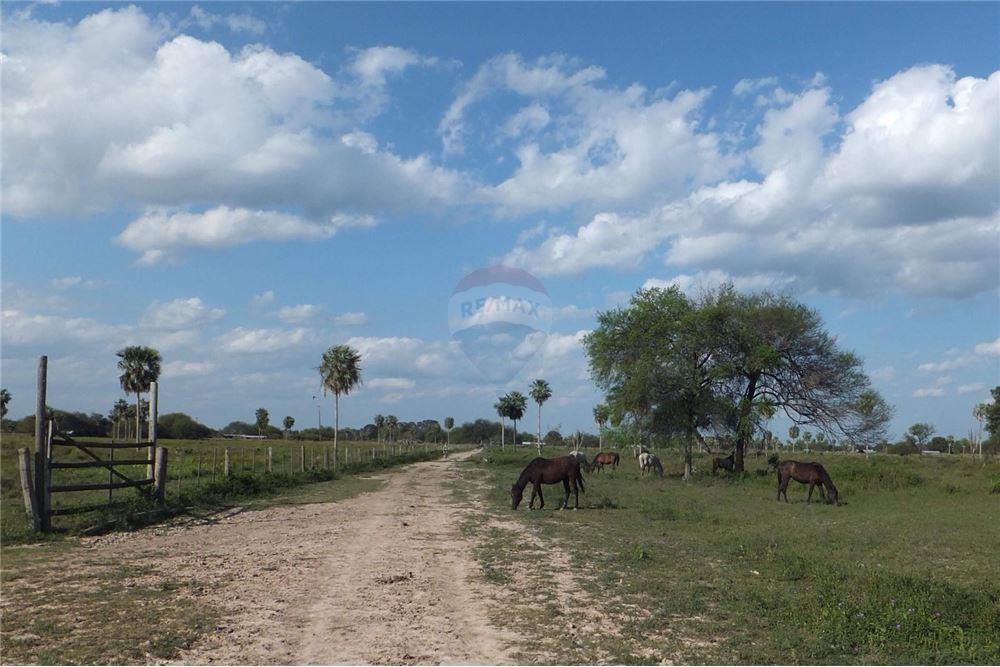 Estancia/Campo - Venta - Presidente Hayes Benjamín Aceval — foto 3