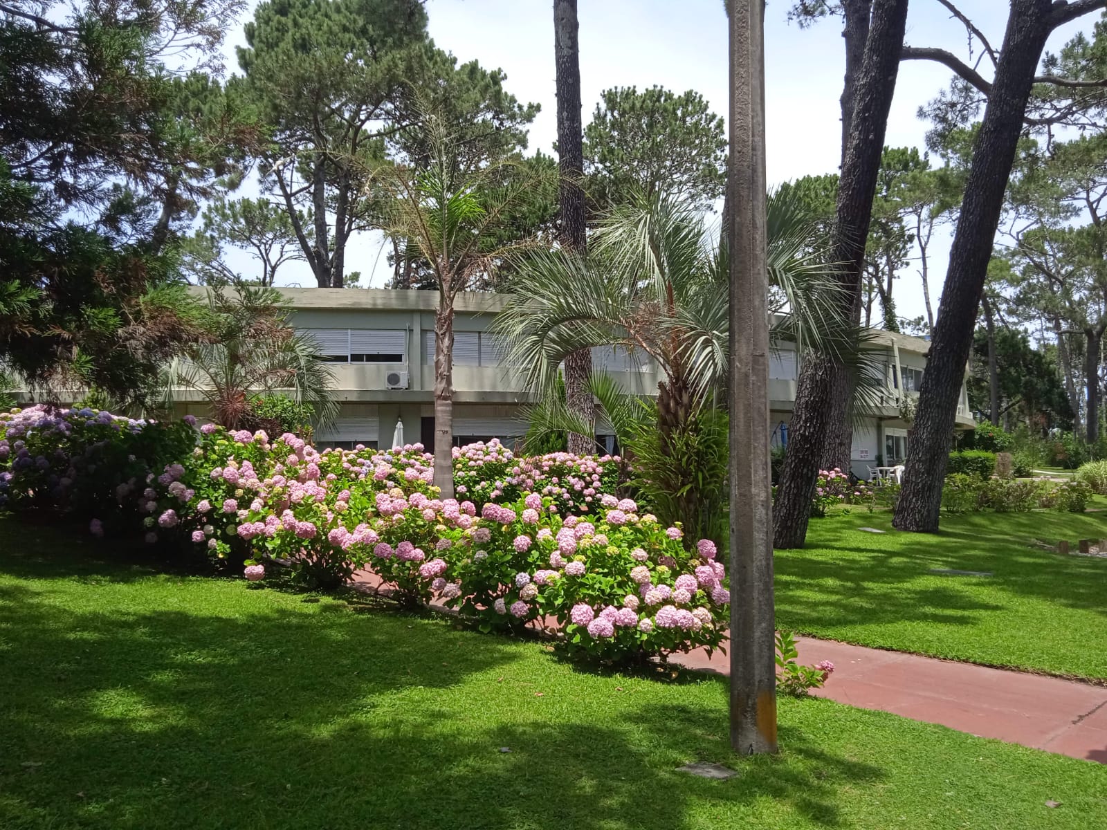 Apartamento en alquiler en Cantegril