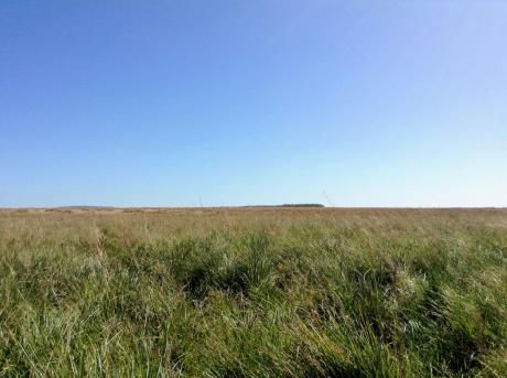 Campo De 2.250 Hectareas En San Alfredo.dpto De Concepcion