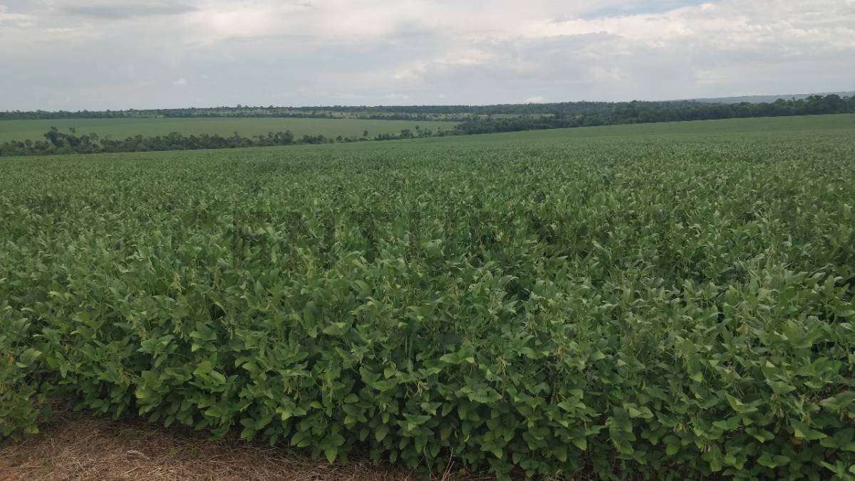 Venta de Estancia/Ganadera en San Estanislao, San Pedro — foto 2