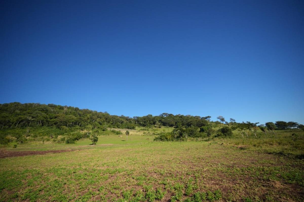 VENDO 20 HECTÁREAS EN CERRO CORA - SAPUCAI — foto 3