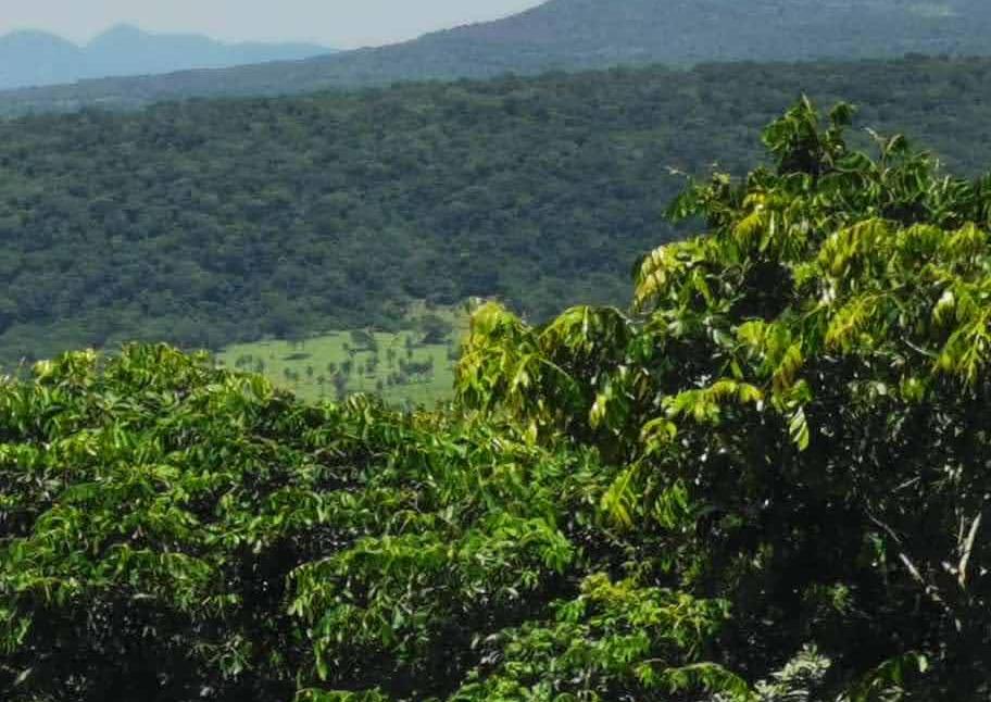 VENDO PROPIEDAD RURAL EN PARAGUARÍ — foto 3