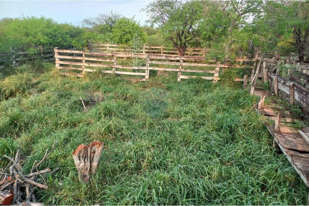 VENDO CAMPO EN PUERTO CASADO OPORTUNIDAD DE INVERSION — foto 2