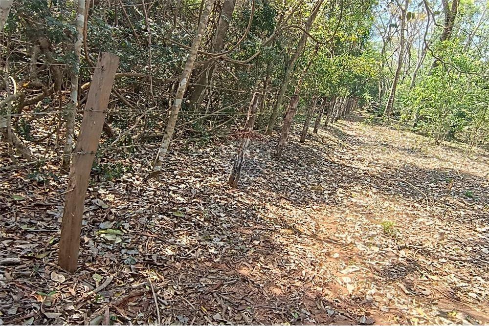 CAMPO 166,5 HECTÁREAS - SAN PEDRO DEL YCUAMANDIYU — foto 2