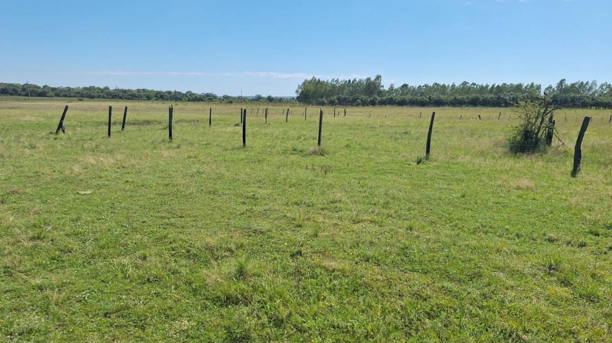 Vendo 7 terrenos juntos en Villeta — foto 2