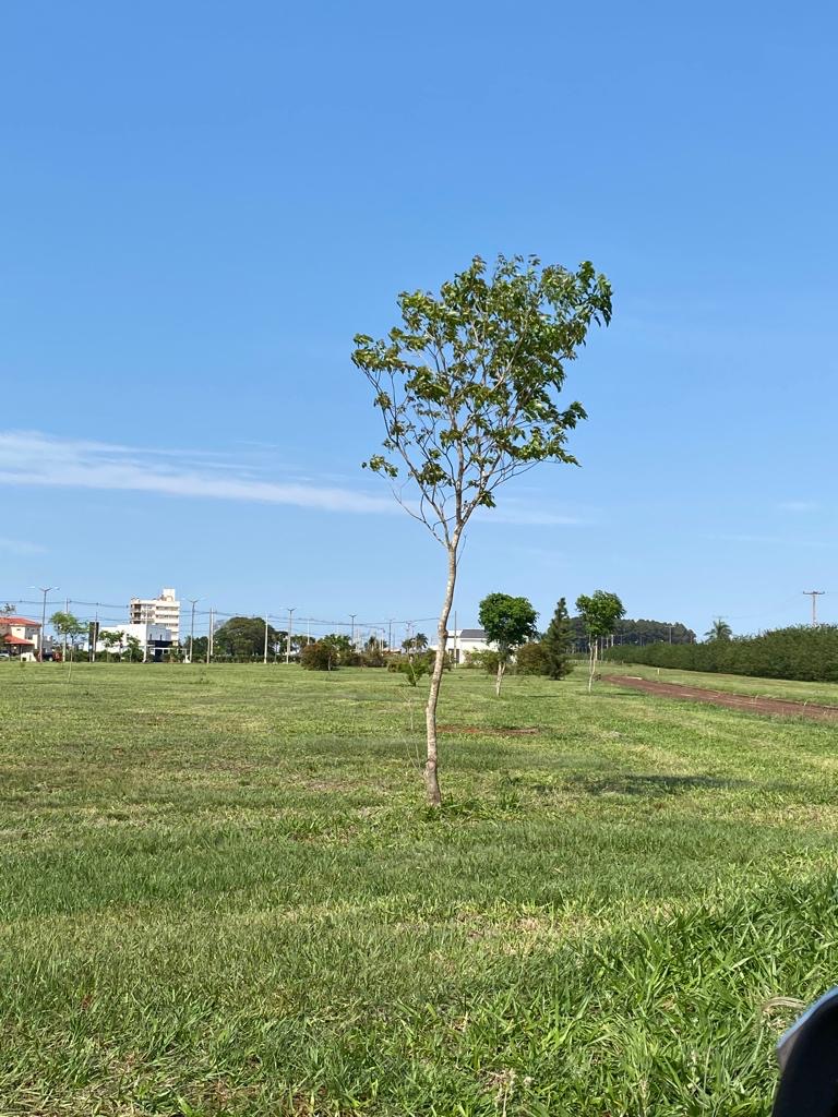 Vendp Terrenos En Exclusivo Barrio Cerrado En Hernandarias — foto 2