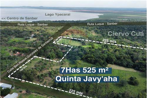 En Venta  Importante Propiedad De 7 Hectáreas En San Bernardino — foto 2
