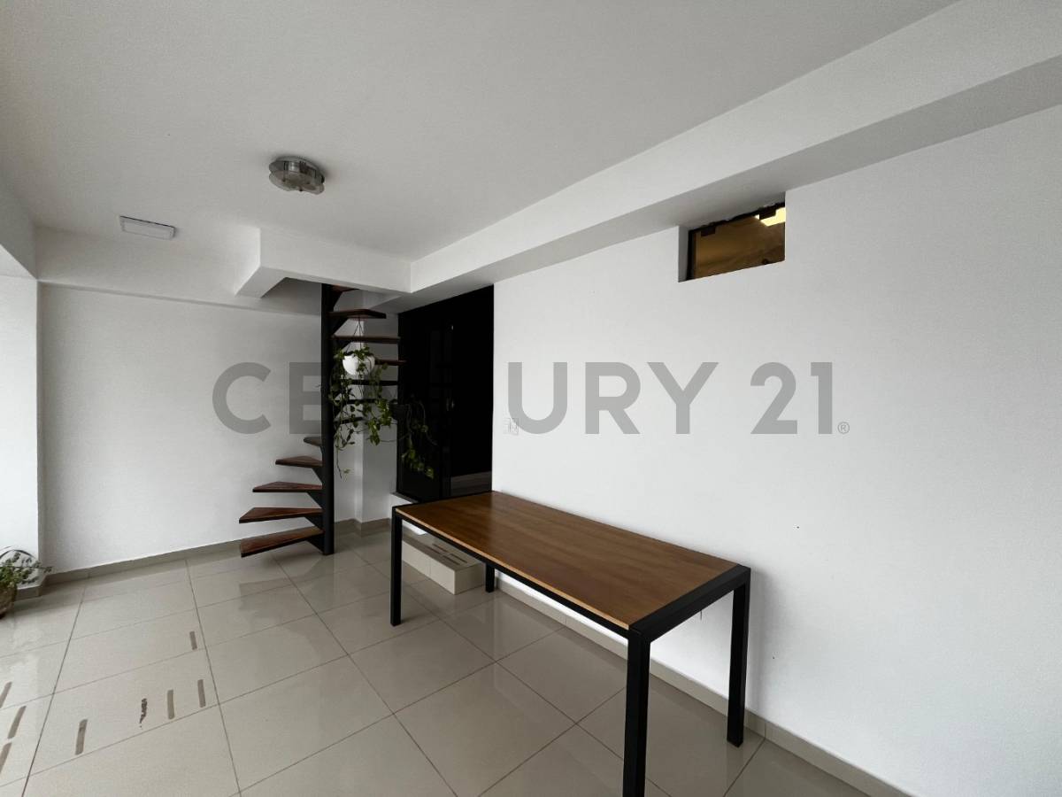 Alquiler de Casa en Dr. Francia, Asunción — foto 3