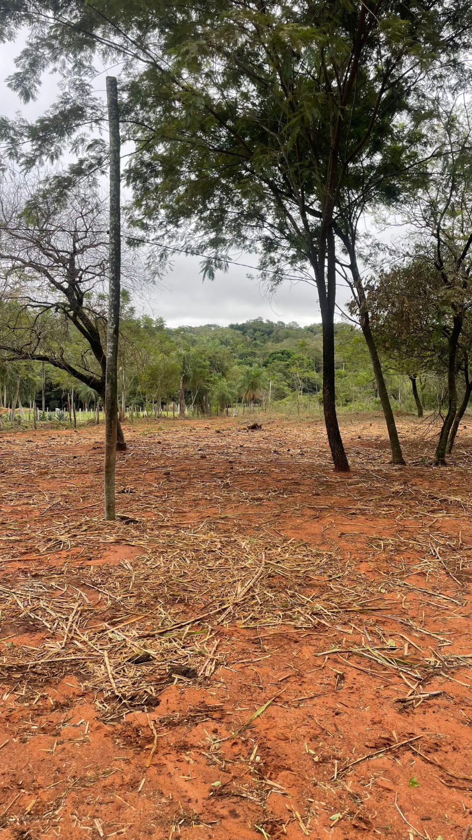 Vendo 9 hectáreas Quiindy  Barrio San Rafael A 2,5 km de la ruta 1 — foto 2