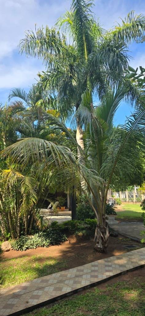 Vendo Residencia amplia propiedad con 5 Habitaciones — foto 2