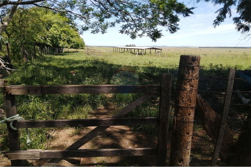 VENDO CAMPO EN SAN MIGUEL MISIONES SOBRE RUTA — foto 3